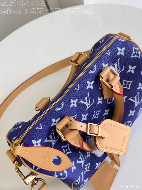 Aaa replica bags Vuitton 25 SPEEDY Louis 0603